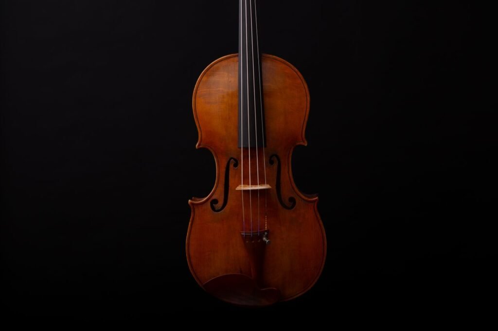 Close-up of a classical violin on a dark, elegant background.